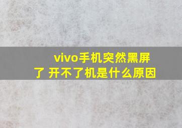 vivo手机突然黑屏了 开不了机是什么原因